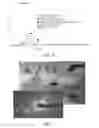 Fig. 20 - Reticulated Mesh Arrays and Dissimilar Array Monoliths by Additive Layered Manufacturing Using Electron and Laser Beam Melting