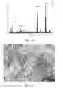 Fig. 23 - Reticulated Mesh Arrays and Dissimilar Array Monoliths by Additive Layered Manufacturing Using Electron and Laser Beam Melting