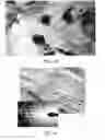Fig. 28 - Reticulated Mesh Arrays and Dissimilar Array Monoliths by Additive Layered Manufacturing Using Electron and Laser Beam Melting