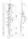Fig. 08 - Periprosthetic bone plates