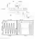 Fig. 03 - Devices and methods for non-invasive electrical stimulation and their use for vagal nerve stimulation on the neck of a patient