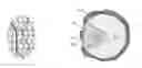 Fig. 01 - POROUS DEALLOYED ELECTRODES