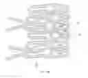 Fig. 35 - Bioabsorbable polymeric medical device