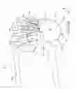 Fig. 53 - Systems for and methods of fusing a sacroiliac joint