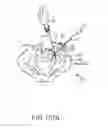 Fig. 76 - Systems for and methods of fusing a sacroiliac joint