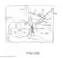 Fig. 77 - Systems for and methods of fusing a sacroiliac joint