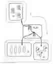 Fig. 01 - Responsive load control method