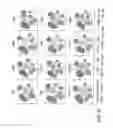 Fig. 08 - Analyzing High Dimensional Single Cell Data Using the T-Distributed Stochastic Neighbor Embedding Algorithm