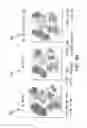Fig. 09 - Analyzing High Dimensional Single Cell Data Using the T-Distributed Stochastic Neighbor Embedding Algorithm
