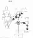 Fig. 03 - Method and device for mobile training data acquisition and analysis of strength training