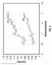 Fig. 04 - CLUSTERING COPY-NUMBER VALUES FOR SEGMENTS OF GENOMIC DATA