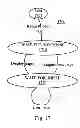 Fig. 18 - Apparatus for and method of using an electronic medical records (EMR) system