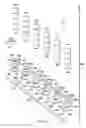 Fig. 11 - Aircraft seating systems