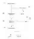 Fig. 08 - DERIVING BUSINESS TRANSACTIONS FROM WEB LOGS