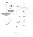 Fig. 10 - DERIVING BUSINESS TRANSACTIONS FROM WEB LOGS