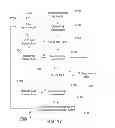 Fig. 15 - DERIVING BUSINESS TRANSACTIONS FROM WEB LOGS