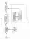 Fig. 15 - DISTRIBUTIVE ON-DEMAND ADMINISTRATIVE TASKING APPARATUSES, METHODS AND SYSTEMS