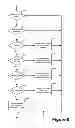 Fig. 07 - IDENTIFICATION AND RISK EVALUATION