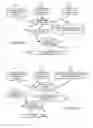 Fig. 07 - CONTENT-TARGETED ADVERTISING USING COLLECTED USER BEHAVIOR DATA