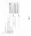 Fig. 07 - ELECTRONIC INVOICING AND PAYMENT