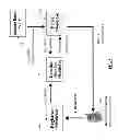 Fig. 06 - SYSTEM AND METHOD OF SELECTING A VIRTUAL CARD APPLICATION
