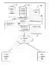 Fig. 01 - Method and system for sharing documents between on-demand services