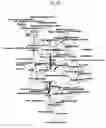 Fig. 11 - Information network with linked information nodes