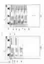 Fig. 08 - Reproduction of file series