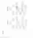 Fig. 05 - Method and apparatus for asynchronous distribution of content