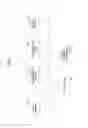 Fig. 02 - System, method, and apparatus for data processing