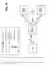Fig. 25 - Collector mechanisms in a content delivery network