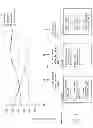 Fig. 02 - Location Based Processing of Data Items