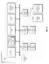 Fig. 07 - Systems and methods for increasing restore speeds of backups stored in deduplicated storage systems