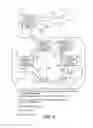 Fig. 10 - Use of temporary secondary copies in failover operations