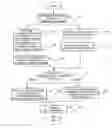 Fig. 01 - Apparatus and a method for logically processing a composite graph in a formatted document