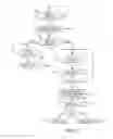 Fig. 07 - EXCHANGING CONTENT AND TOOLS BETWEEN USERS