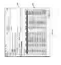 Fig. 08 - STORAGE OF SOFTWARE EXECUTION DATA BY BEHAVIORAL IDENTIFICATION