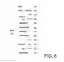 Fig. 07 - Unified content posting