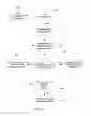 Fig. 13 - System and method for secure reciprocal exchange of data