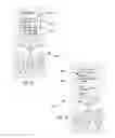 Fig. 16 - System and method for secure reciprocal exchange of data