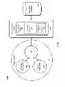 Fig. 02 - Social threat scoring