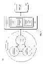 Fig. 02 - SOCIAL RISK MANAGEMENT