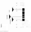 Fig. 02 - NUCLEOTIDE SEQUENCES MEDIATING MALE FERTILITY AND METHOD OF USING SAME