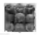 Fig. 02 - Peach tree named 'TexFirst'