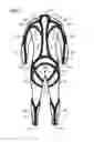 Fig. 04 - Technical Wetsuit