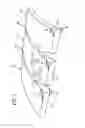 Fig. 08 - Technical Wetsuit