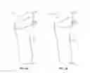 Fig. 03 - DANCE FOOTWEAR