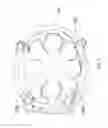 Fig. 08 - HELMET PADDING SYSTEM