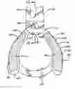 Fig. 01 - Clipper