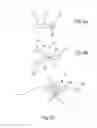 Fig. 08 - Footwear sole